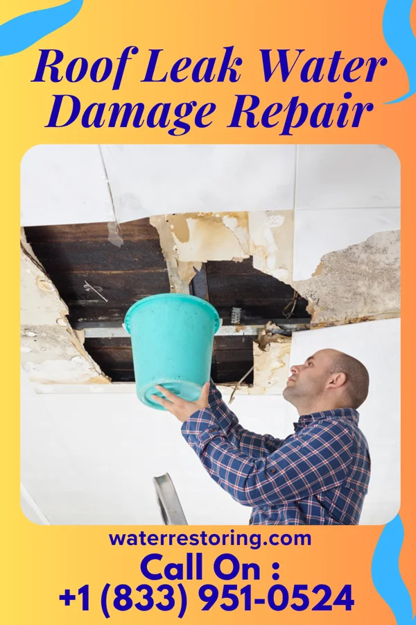 Roof Leak Water Damage Repair in Windham, MT
