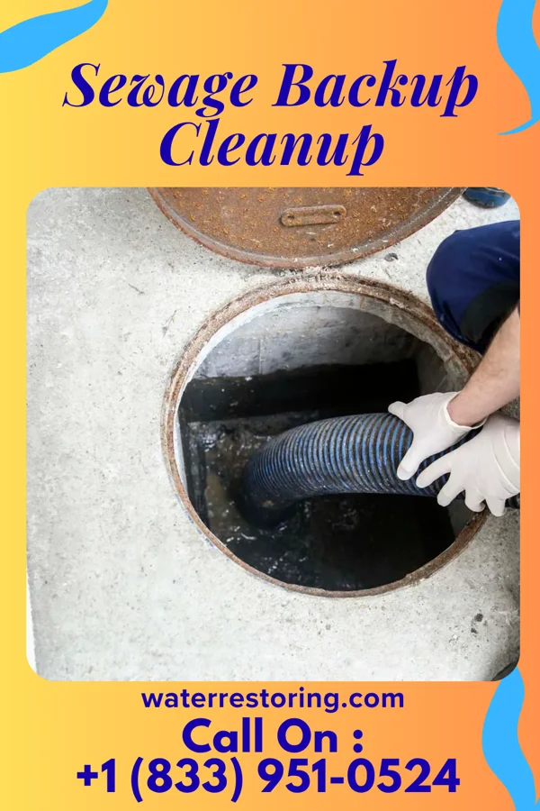 Sewage Backup Cleanup in Windham, MT